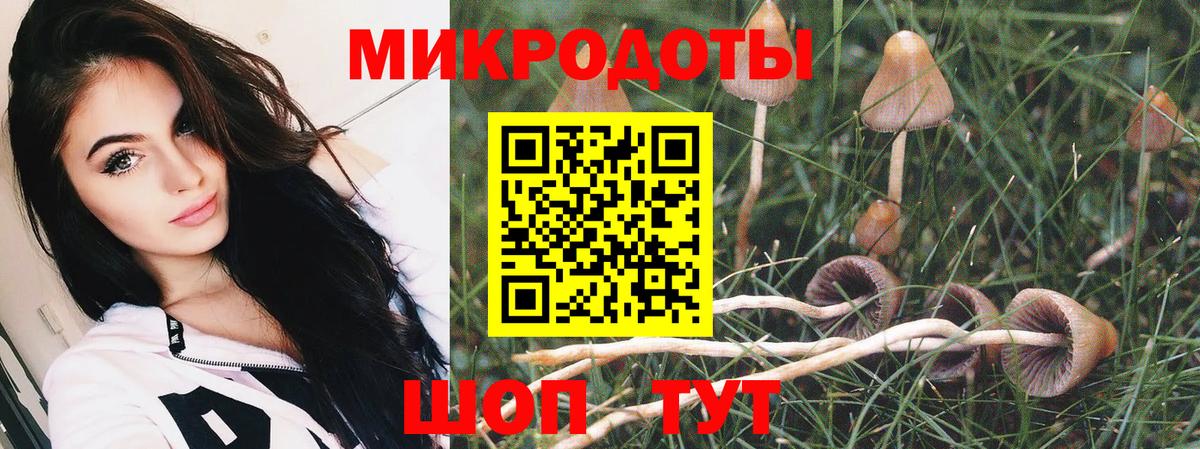 Галлюциногенные грибы Psilocybine cubensis  Вход с VPN  Майкоп 